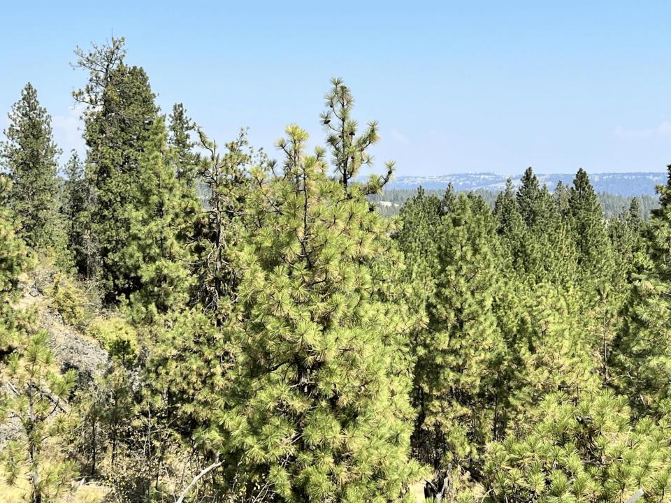 8200 W Mission Rd, Spokane, וושינגטון 99224, ארצות הברית של אמריקה
