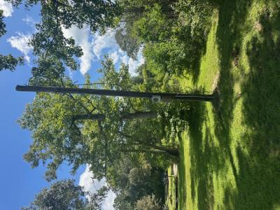 0 Green Drive, Deridder, Louisiana 70634, Estados Unidos