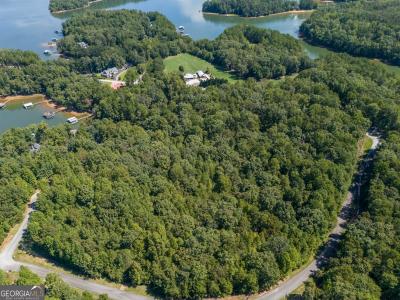 Lots 1 & 2 Twin Knolls Trail, Martin, Georgia 30557, Estados Unidos