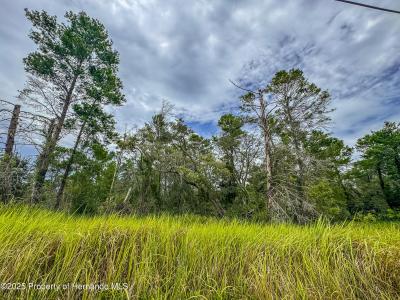 0 Bahama Swallow Avenue, Weeki Wachee, 佛罗里达州 34613, 美国