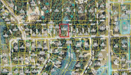 0 Bahama Swallow Avenue, Weeki Wachee, Florida 34613