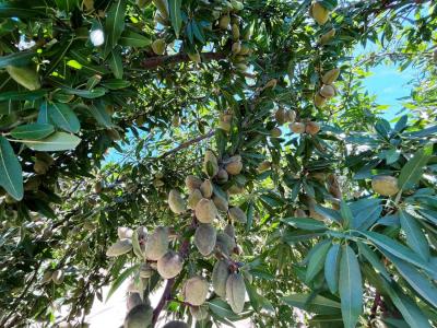 14359 Sunset Drive, Livingston, Califórnia 95334, Estados Unidos