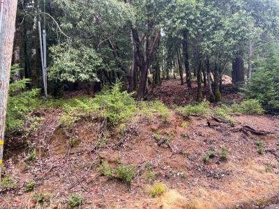 1817 Clover Drive, Willits, California 95490, Estados Unidos