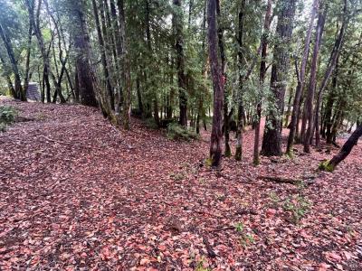 1817 Clover Drive, Willits, California 95490, Estados Unidos