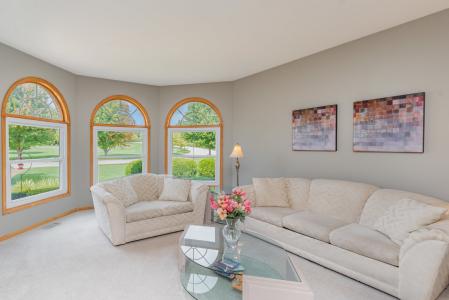 13741 W Elizabeth Lane, Mokena, Illinois 60448