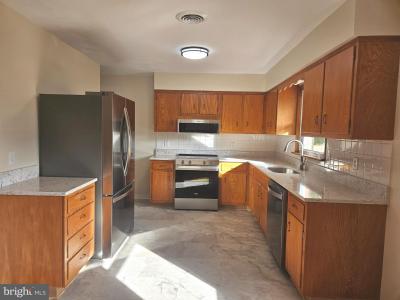 421 Superior Ave, Winchester, Virgínia 22601, Estados Unidos