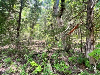 000  Missouri Line Road, Mammoth Spring, Missouri 72554, Stati Uniti