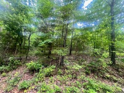 000  Missouri Line Road, Mammoth Spring, Missouri 72554, Stati Uniti