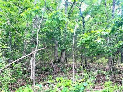 000  Missouri Line Road, Mammoth Spring, Missouri 72554, Stati Uniti