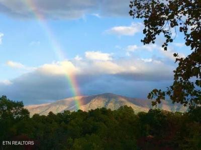 2791 Happy Hollow Rd, Sevierville, טנסי 37862, ארצות הברית של אמריקה 