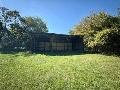 13820 N Adams Road, Addison, Michigan 49220