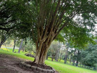 1401 Linton Road, Benton, Louisiana 71006, Amerika Birleşik Devletleri