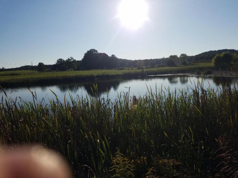 8388 Old Spencer Road, Pikeville, 田納西州 37367, 美國