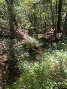 TBD CR 479 (Tract 2), Lindale, 得克萨斯州 75771, 美国