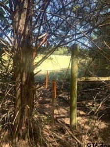 TBD CR 479 (Tract 2), Lindale, 得克萨斯州 75771, 美国