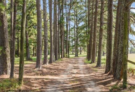 1500 Dwight Brown Road, Benton, 알칸사 72015, 미국