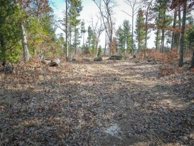 V/L Hyde Park Road Parcel C, Whitehall, Michigan 49461, Estados Unidos