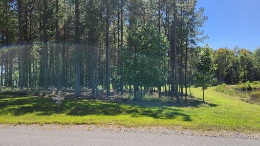 705 Crockett Loop, Jasper, Tennessee 37347, Estados Unidos