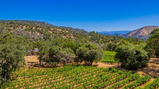 49610 House Ranch Road, O Neals, California 93645, USA