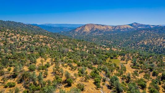 49610 House Ranch Road, O Neals, 加利福尼亚州 93645, 美国