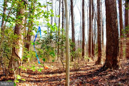 Scott Circle, Mechanicsville, Maryland 20659, HOA KỲ