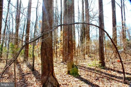 Scott Circle, Mechanicsville, Maryland 20659, Stati Uniti