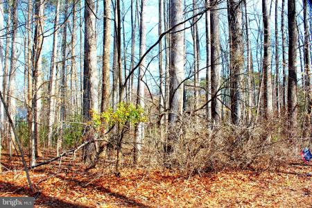 Scott Circle, Mechanicsville, Maryland 20659, Stati Uniti