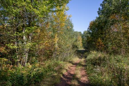 28556 S Pine View Beach Road, Brook Park, Minnesota 55007, Estados Unidos