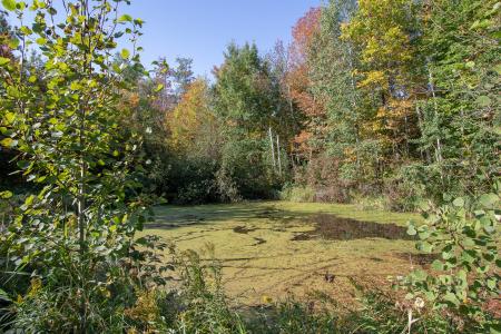 28556 S Pine View Beach Road, Brook Park, Minnesota 55007, Estados Unidos