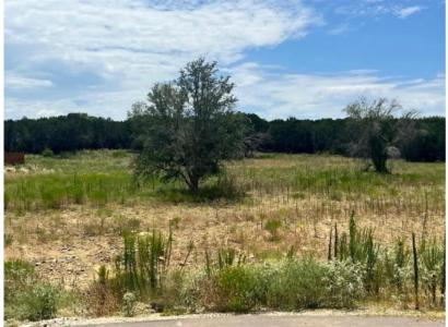 2047 Lacee Court, Granbury, Texas 76048