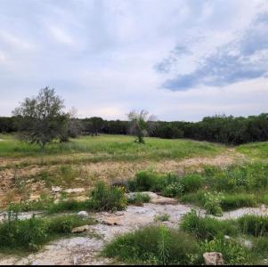 2047 Lacee Court, Granbury, Texas 76048