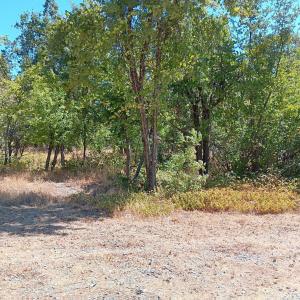 24929 State Highway 88, Pioneer, Califórnia 95666, Estados Unidos