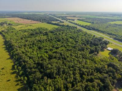 TBD Hwy 165, Iowa, Louisiana 70647, Estados Unidos