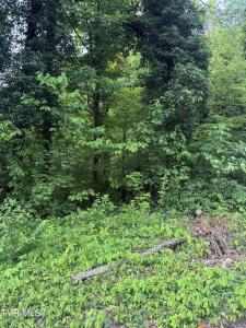 Lot 15 Ashley Street, Kingsport, Tennessee 37664, USA