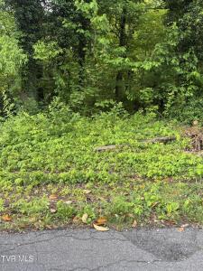 Lot 15 Ashley Street, Kingsport, Tennessee 37664, Amerika Birleşik Devletleri