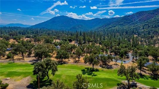 41028 Shandee Ln, Ahwahnee, 加州 93601, 美國