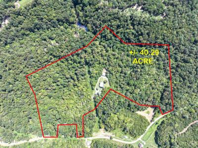 1005 Jackson Hollow Road, Mosheim, Tennessee 37818