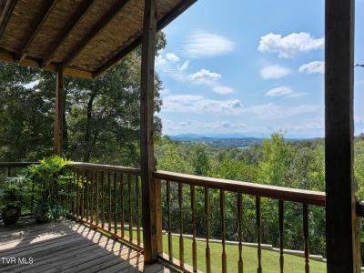 1005 Jackson Hollow Road, Mosheim, Tennessee 37818