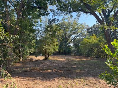 2704 Eureka Ln, Pensacola, Floride 32526, États-Unis