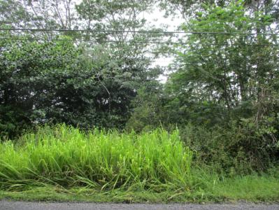 Lot 500, 17th Ave, Keaau, Wyspy Hawajskie 96749, USA