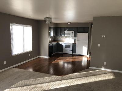 679 Karmada Street, Plymouth, Michigan 48170