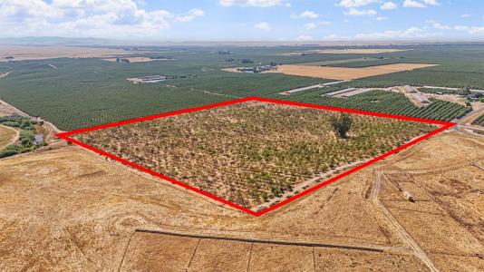 9999 Los Cerritos Road, Snelling, カリフォルニア 95340, アメリカ合衆国