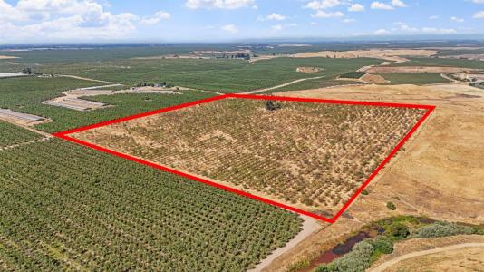 9999 Los Cerritos Road, Snelling, カリフォルニア 95340, アメリカ合衆国