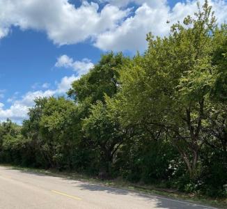 TBD Fm Rd 920, Poolville, Texas 76487, Estados Unidos