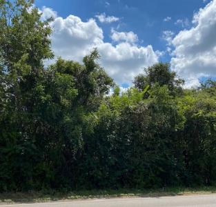 TBD Fm Rd 920, Poolville, Texas 76487, Estados Unidos