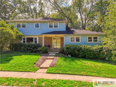 -2 Kohlhepp Avenue, Milltown, NJ 08850, USA