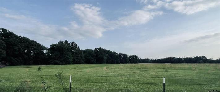 Lot 6 CR 1560, Alba, 得克萨斯州 75410, 美国