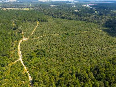 0 Paul Mcmillian Road, Deridder, Louisiane 70634, États-Unis