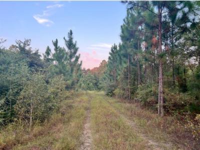 0 Paul Mcmillian Road, Deridder, 路易西安納州 70634, 美國