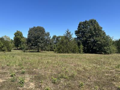 676 County Road 403, Alton, Миссури 65606, Соединенные Штаты